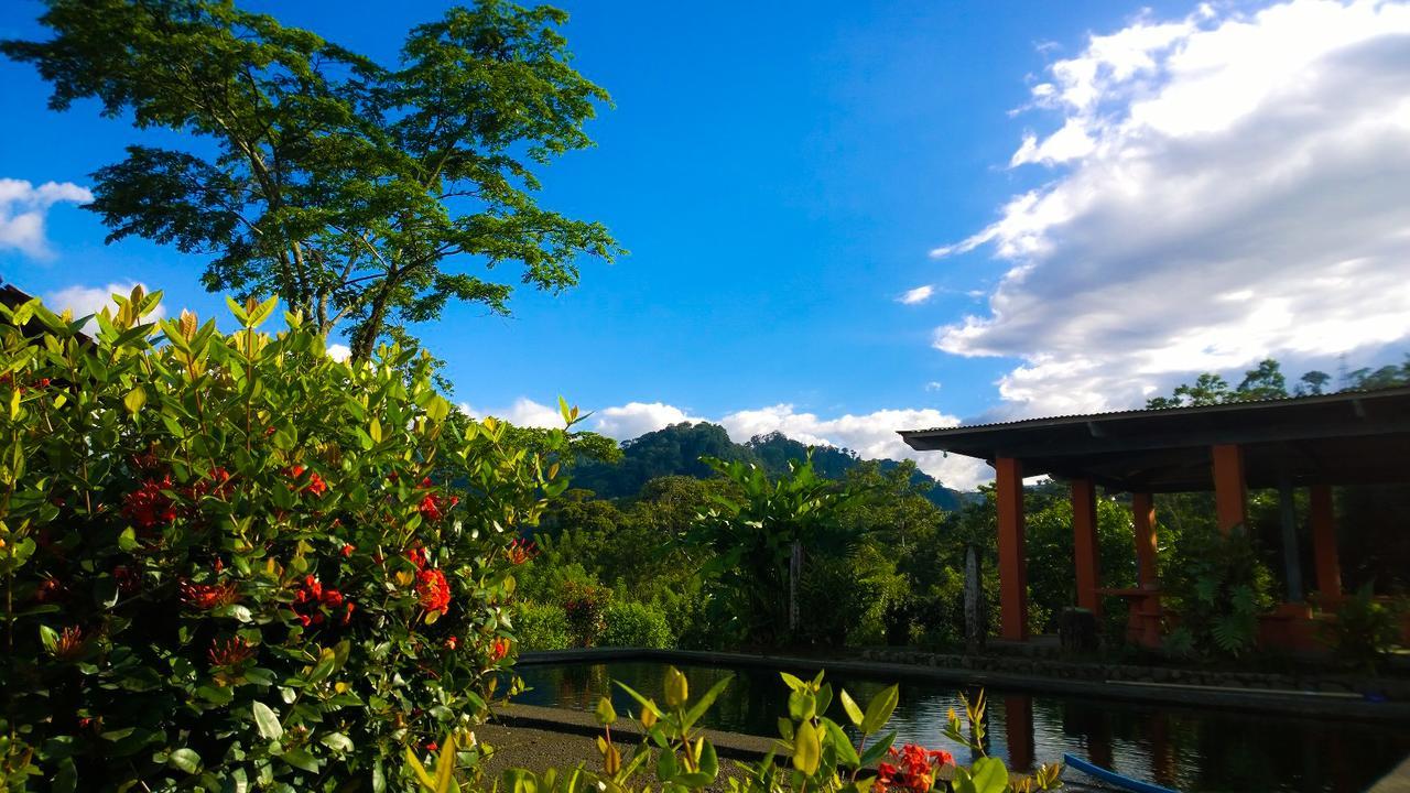 Los Gallitos Eco Lodge San Miguel  Exterior photo