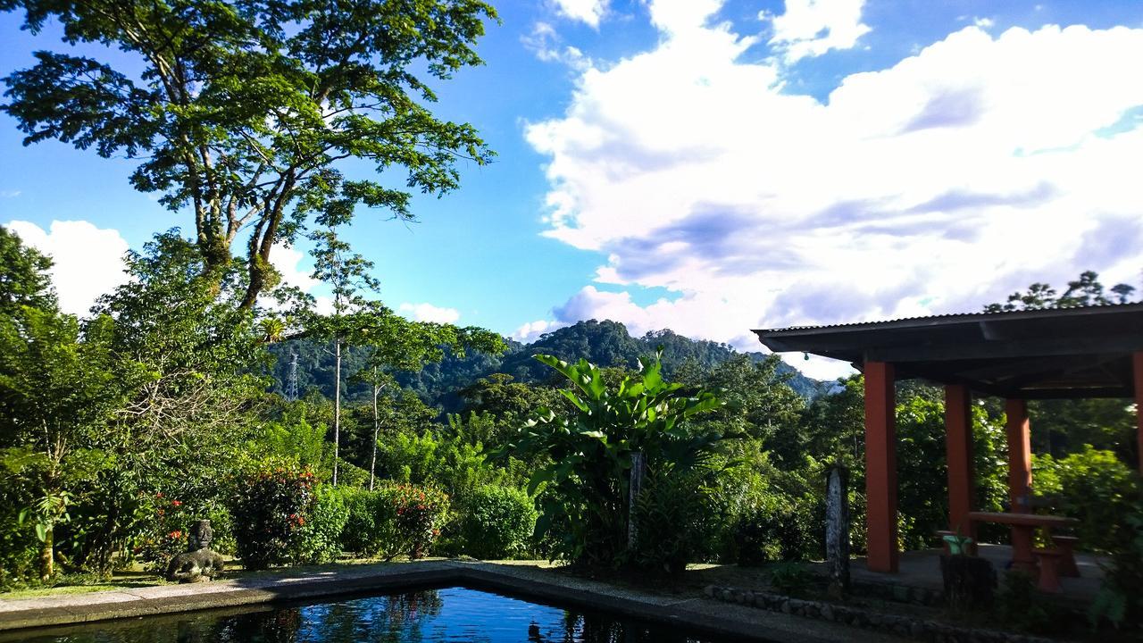 Los Gallitos Eco Lodge San Miguel  Exterior photo