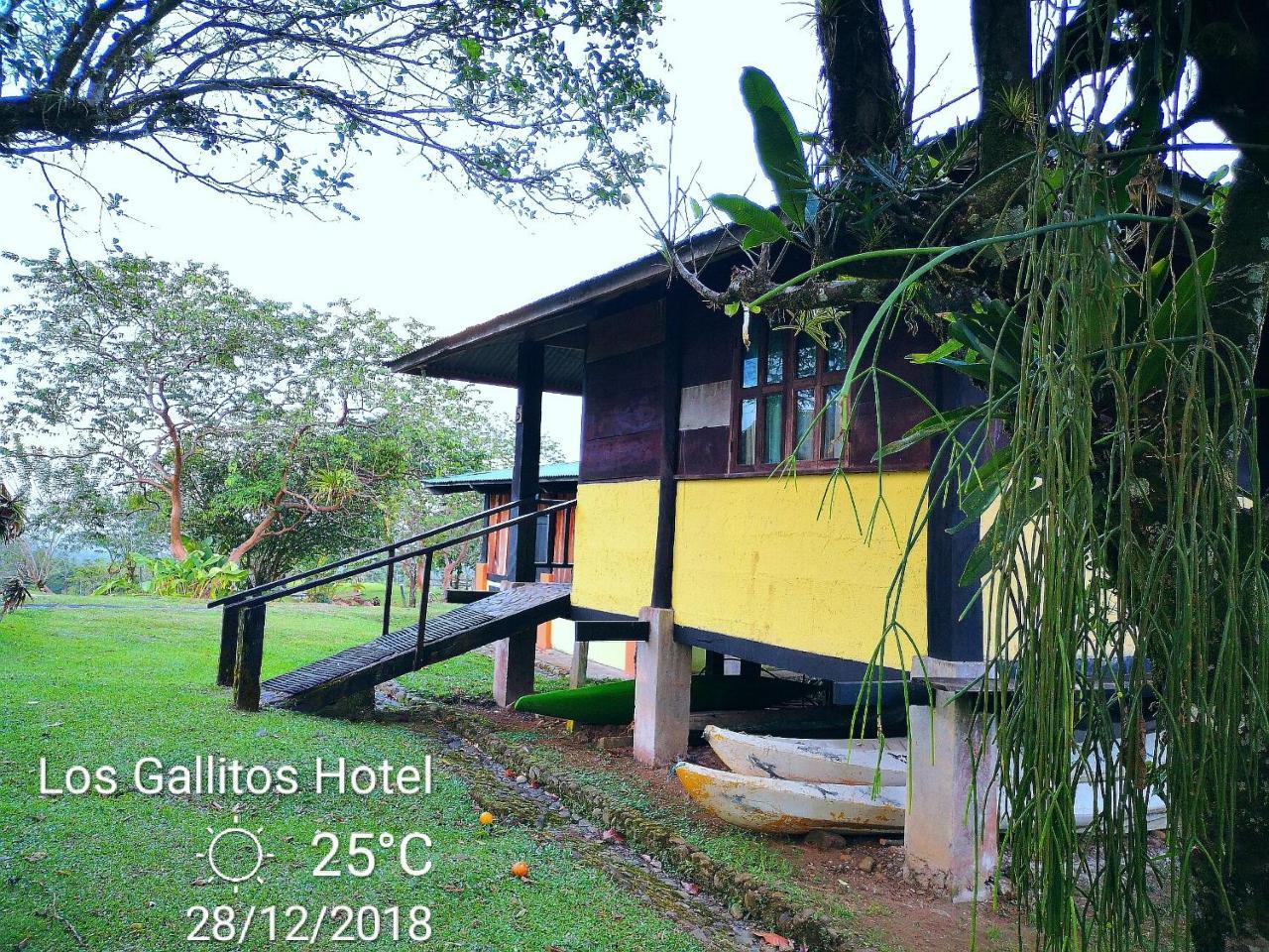 Los Gallitos Eco Lodge San Miguel  Exterior photo