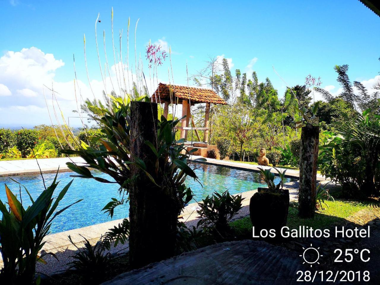 Los Gallitos Eco Lodge San Miguel  Exterior photo