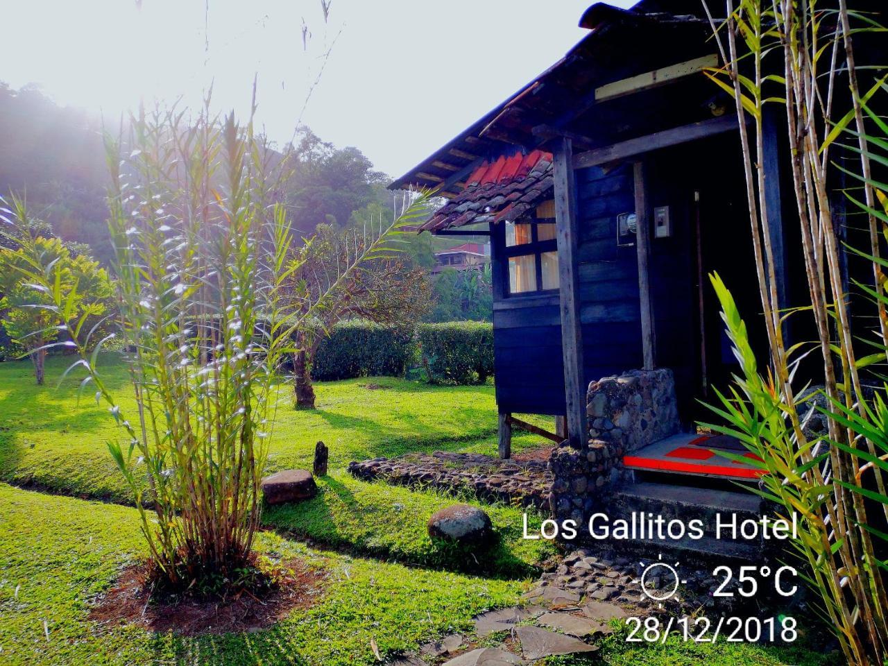Los Gallitos Eco Lodge San Miguel  Exterior photo