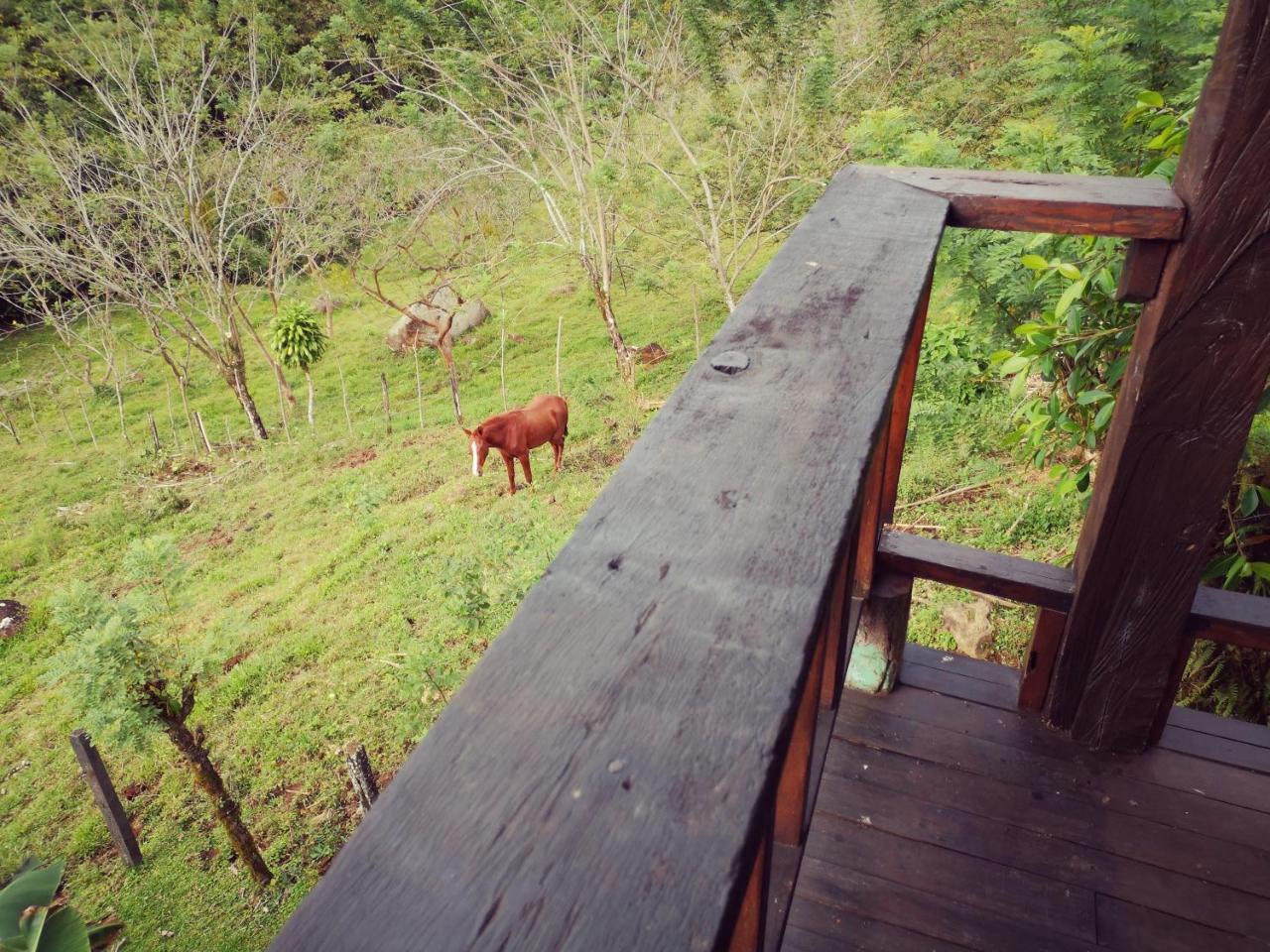 Los Gallitos Eco Lodge San Miguel  Exterior photo